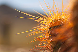 修复版稳定的服务器攻击方式